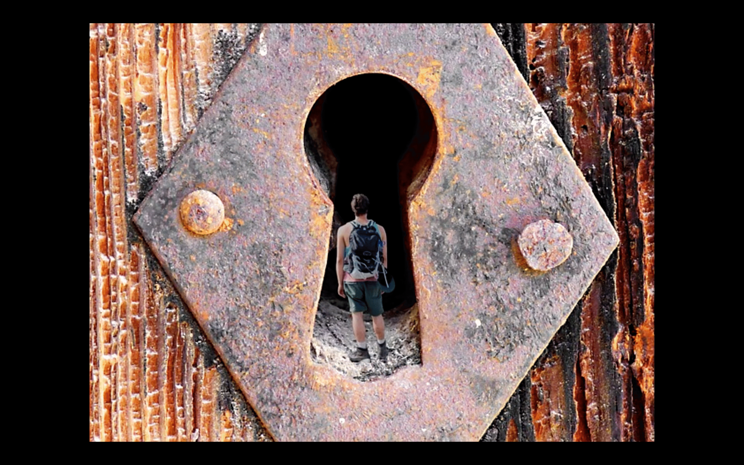 La Psicoterapia Psicoanalitica